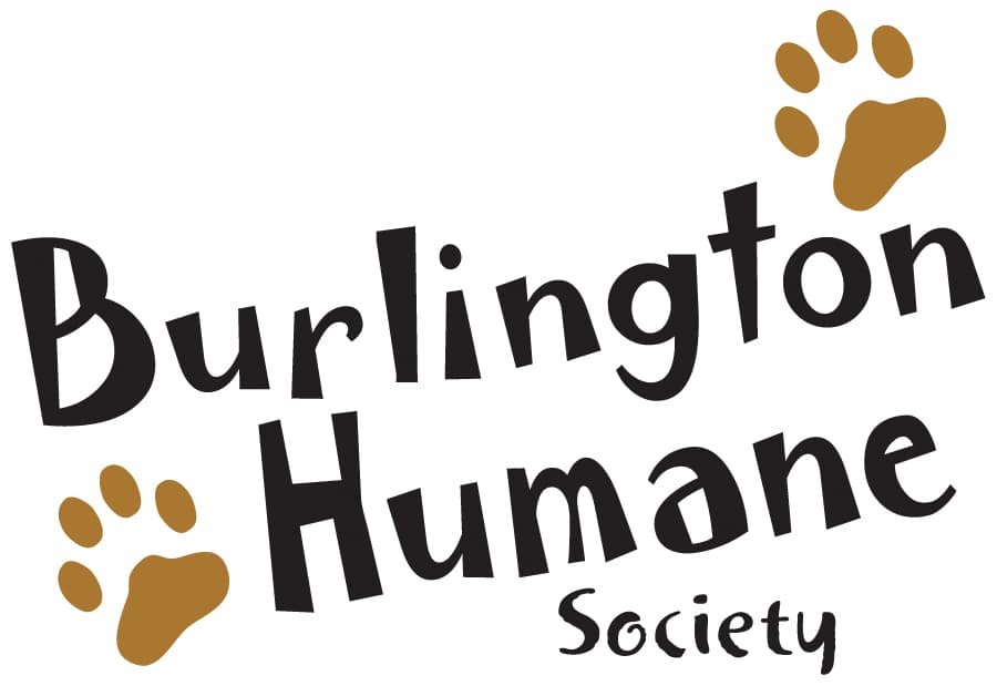 association image