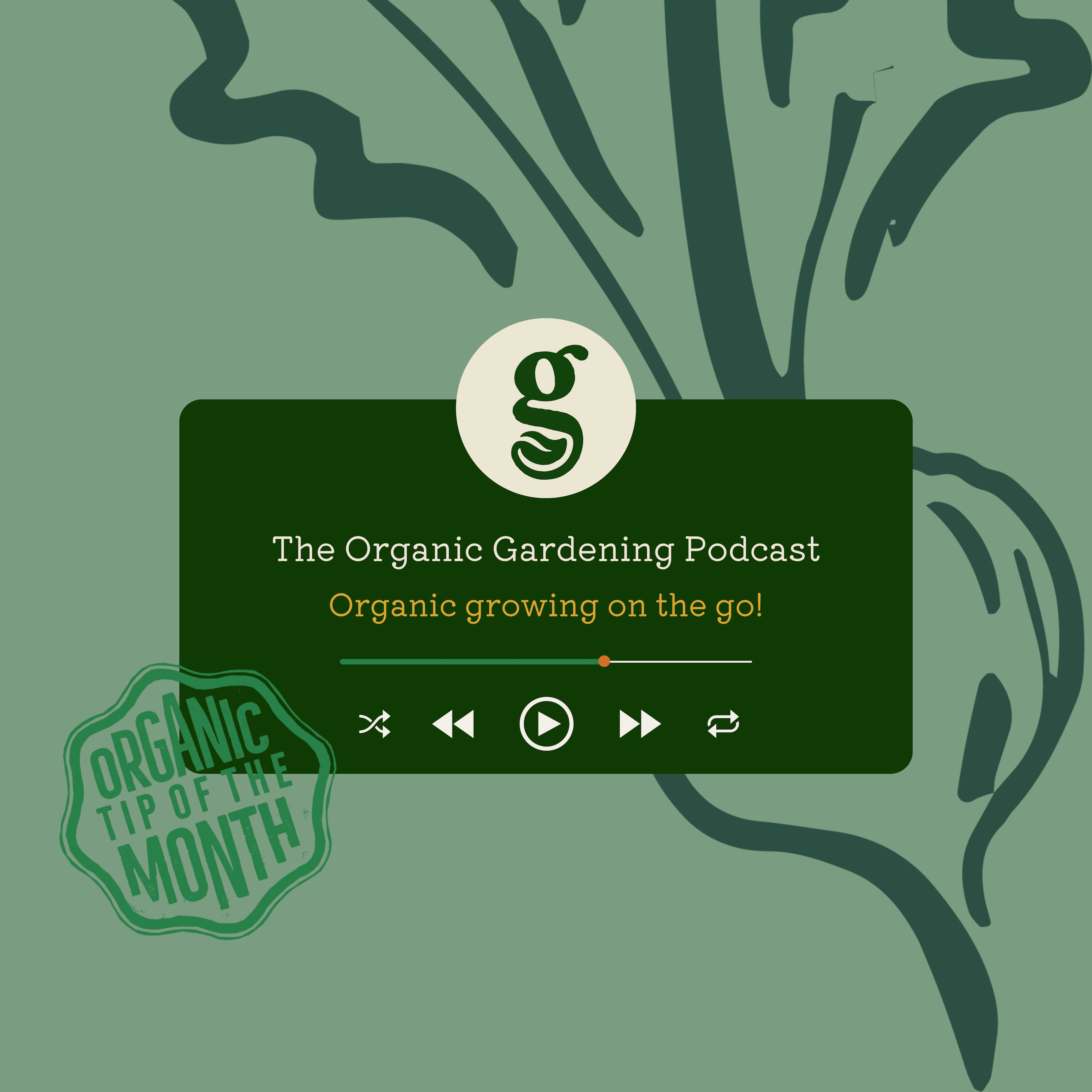 podcaster image