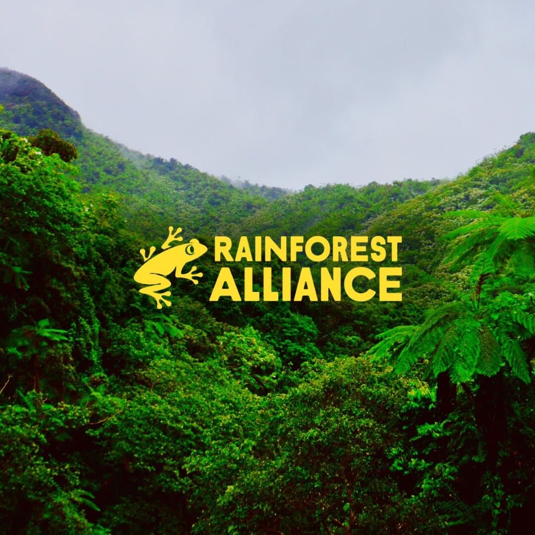 association image
