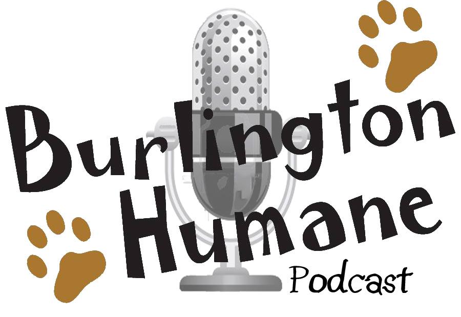 podcaster image